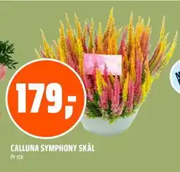 Coop Obs CALLUNA SYMPHONY SKÅL, NOK 179 tilbud
