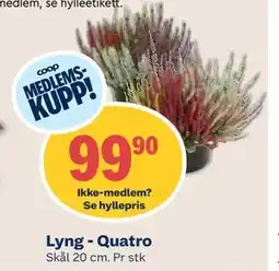 Coop Mega Lyng - Quatro, Medlemspris tilbud