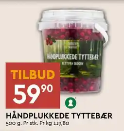 Coop Mega HÅNDPLUKKEDE TYTTEBÆR, NOK 59.9 tilbud