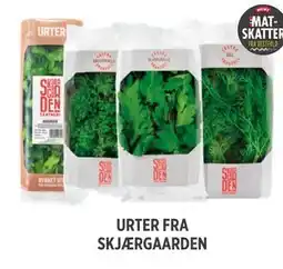 Meny URTER FRA SKJÆRGAARDEN tilbud