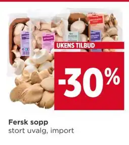 Meny Fersk sopp tilbud