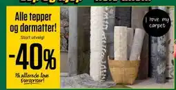 Europris Alle tepper og dørmatter! tilbud