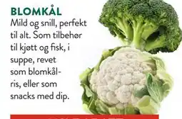 Jacobs BLOMKÅL tilbud