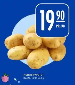 Rema 1000 NORSK NYPOTET, NOK 19.9 tilbud