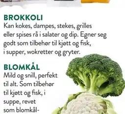 Jacobs BROKKOLI tilbud