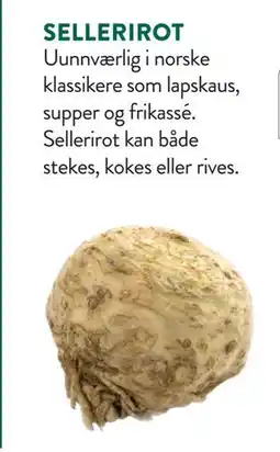 Jacobs SELLERIROT tilbud