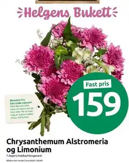 Joker Chrysanthemum Alstromeria og Limonium., NOK 159 tilbud