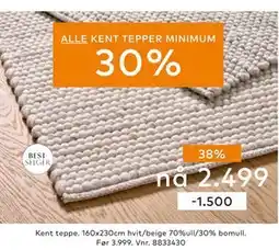 Skeidar Kent teppe, NOK 2499 tilbud