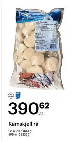 Storcash Kamskjell rå tilbud