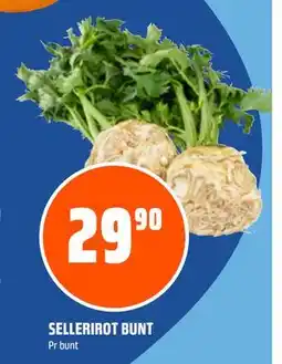 Obs Bygg SELLERIROT BUNT, NOK 29.9 tilbud