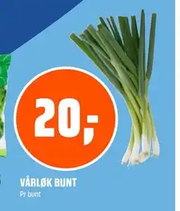 Coop Obs VÅRLØK BUNT, NOK 20 tilbud