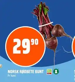 Coop Obs NORSK RØDBETE BUNT, NOK 29.9 tilbud