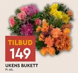 Coop Mega UKENS BUKETT, NOK 149 tilbud