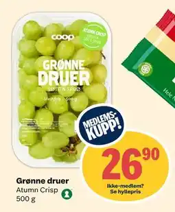 Coop Extra Grønne druer, Medlemspris tilbud