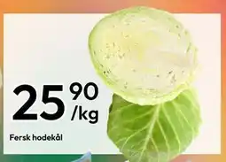 Gigaboks Fersk hodekål, NOK 25.9 tilbud