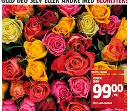 Meny ROSER 10PK, NOK 99 tilbud
