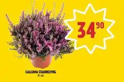 Coop Prix CALLUNA STAUDELYNG, NOK 34.9 tilbud