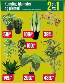 Europris Kunstige blomster og planter! tilbud