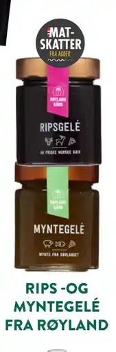 Jacobs RIPS -OG MYNTEGELÉ FRA RØYLAND tilbud