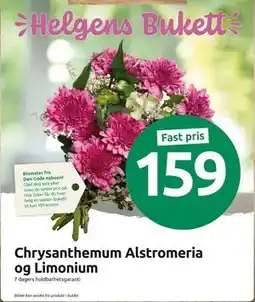 Joker Chrysanthemum Alstromeria og Limonium, NOK 159 tilbud