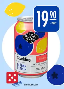 Rema 1000 KOLONIHAGEN Sparkling blåbær & sitron tilbud