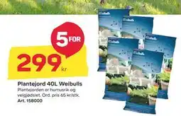 Byggmax Plantejord 40L Weibulls, NOK 299 tilbud