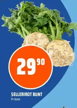 Obs Bygg Sellerirot bunt tilbud