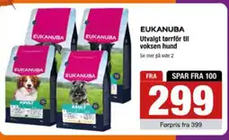 Buddy EUKANUBA Utvalgt tørrför til voksen hund tilbud