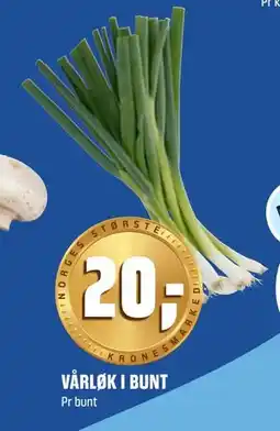 Coop Obs VÅRLØK I BUNT, NOK 20 tilbud