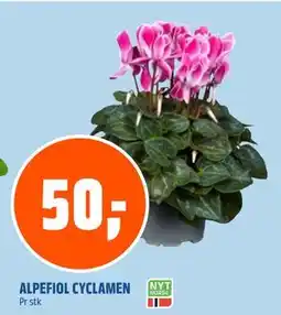 Coop Obs ALPEFIOL CYCLAMEN, NOK 50 tilbud