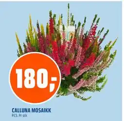 Coop Obs CALLUNA MOSAIKK, NOK 180 tilbud