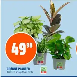 Coop Obs GRØNNE PLANTER, NOK 49.9 tilbud