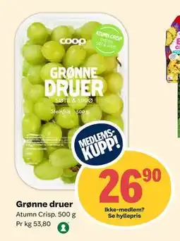 Coop Extra Grønne druer, Medlemspris tilbud