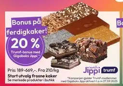 Gigaboks Stort utvalg frosne kaker tilbud
