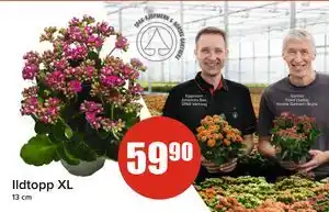Spar Ildtopp XL, NOK 59.9 tilbud