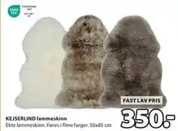 JYSK KEJSERLIND lammeskinn, NOK 350 tilbud