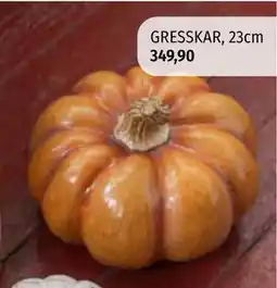 Nille GRESSKAR, 23cm, NOK 349.9 tilbud