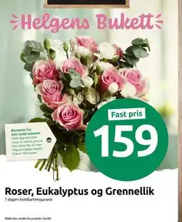 Joker Roser, Eukalyptus og Grennellik, NOK 159 tilbud