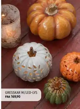 Nille GRESSKAR M/LED-LYS tilbud