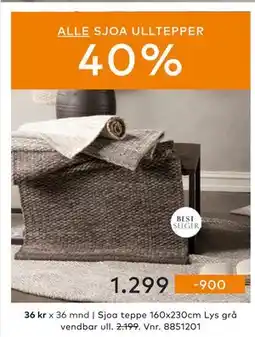 Skeidar Sjoa teppe, NOK 1299 tilbud