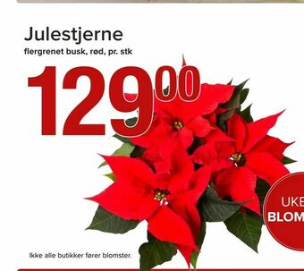 Spar Julestjerne tilbud