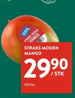 Jacobs STRAKS MODEN MANGO, NOK 29.9 tilbud