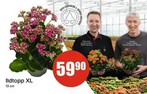 Spar Ildtopp XL, NOK 59.9 tilbud