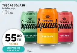 Scandinavian Park Tuborg squash tilbud