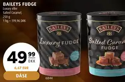 Scandinavian Park BAILEYS FUDGE tilbud