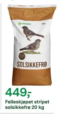 Felleskjøpet Felleskjøpet stripet solsikkefrø 20 kg, NOK 449 tilbud