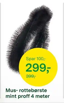 Felleskjøpet Mus- rottebørste mint proff 4 meter, NOK 299 tilbud