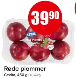 Spar Røde Plommer tilbud