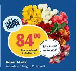 Coop Obs Roser 14 stk, Medlemspris tilbud