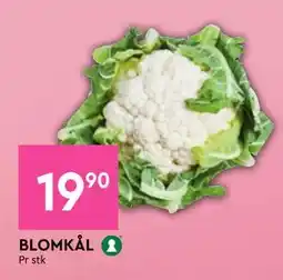 Coop Mega BLOMKÅL, NOK 19.9 tilbud